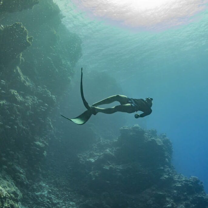 Palau Explorer